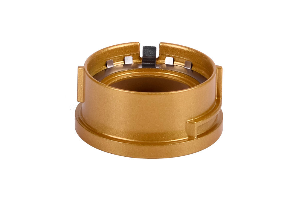 ACCENTPLUS SPOTLIGHT S2 GU10 LED BRUSHED GOLD BEZEL ACCESSORY - ILNEVA039