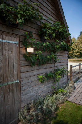 Wall Light, Doblo Cubic LED 4000K IP54