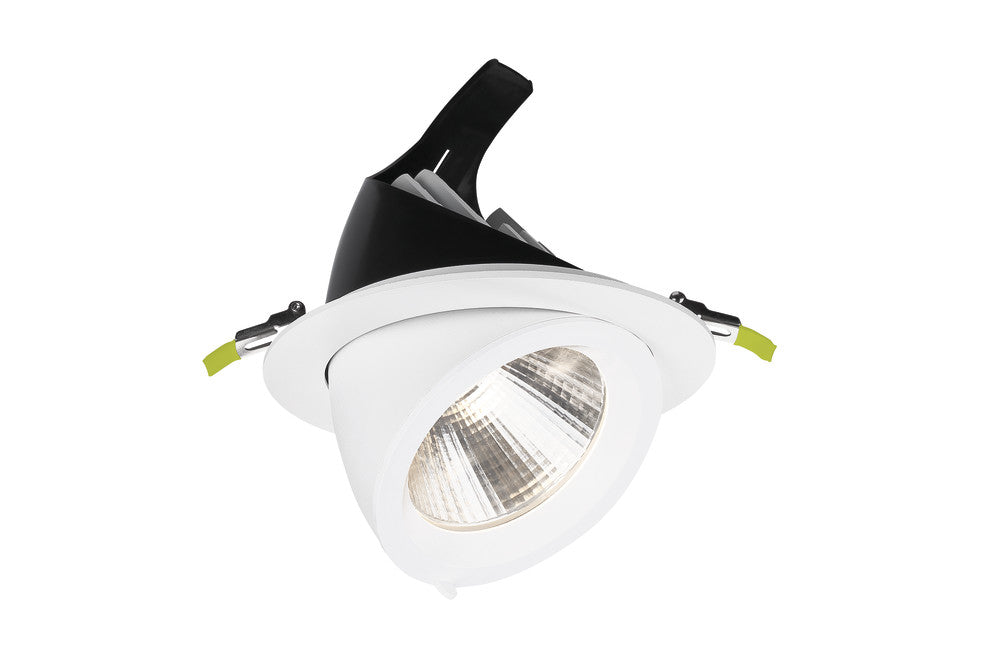 ACCENTPLUS SCOOP ADJUSTABLE DOWNLIGHT 30W 3450LM 115LM/W 3000K CRI90 185MM CUTOUT 36 BEAM WHITE 36VDC 800MA - NO DRIVER - ILDL185SC005