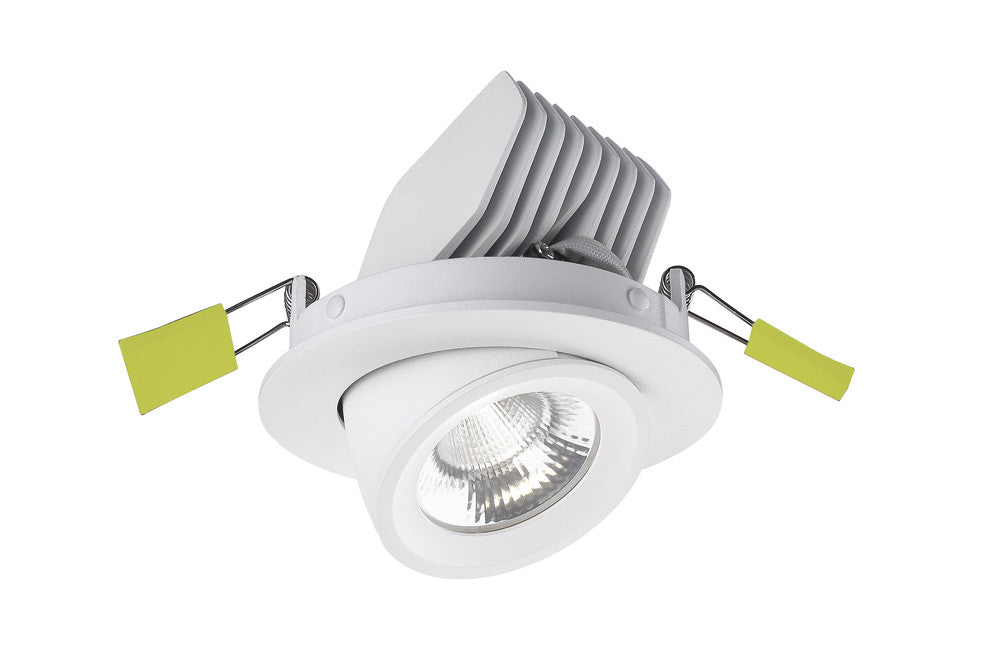 ACCENTPLUS SCOOP ADJUSTABLE DOWNLIGHT 13.5W 1620LM 120LM/W 3000K CRI90 92MM CUTOUT 36 BEAM WHITE 36VDC 350MA - NO DRIVER - ILDL92SC001