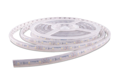 STRIP IP65 5M 3000K 12V 4.5W/M 430LM/M 60LED/M 10MM WIDTH 115 BEAM CRI90 BAG PACK - ILSTWHIB357E
