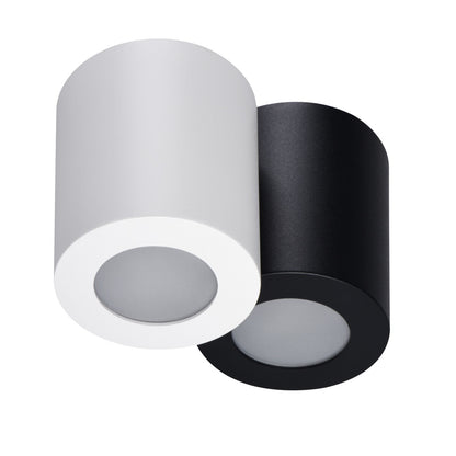 Ceiling-mounted spotlight fitting SANI IP44