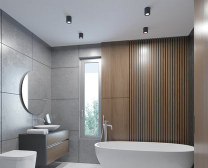 Ceiling-mounted spotlight fitting SANI IP44