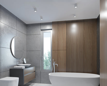 Ceiling-mounted spotlight fitting SANI IP44