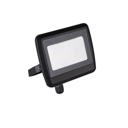 LED floodlight ANTEM LED