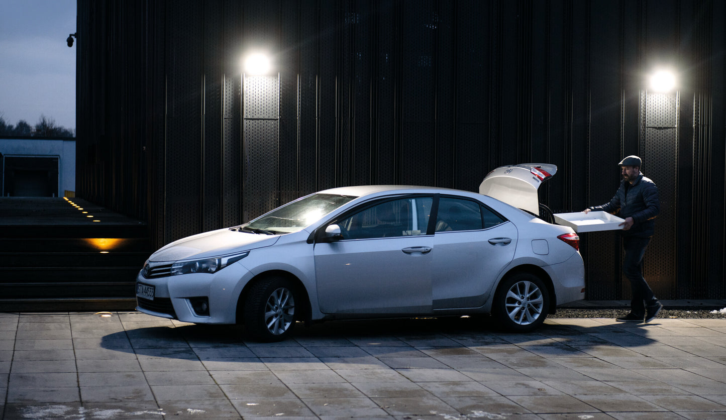 LED floodlight IQ-LED FL