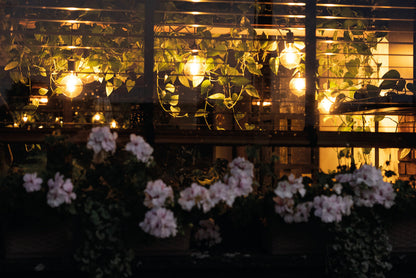 LED light source XLED G95