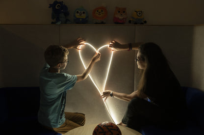 Neon LED accessories NEON LED