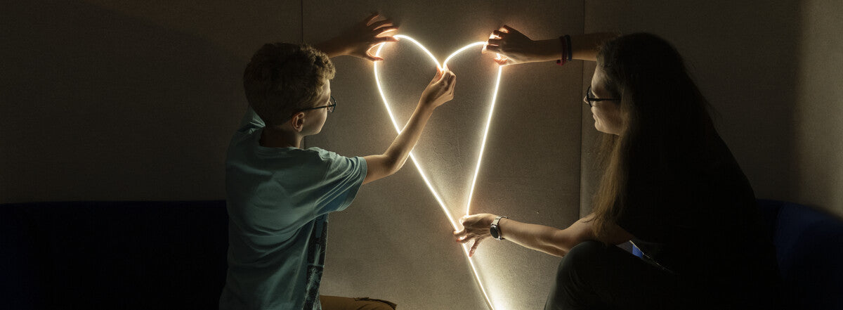 Neon LED accessories NEON LED