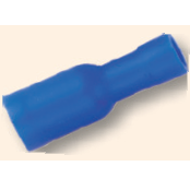 Terminal, Bullet Female