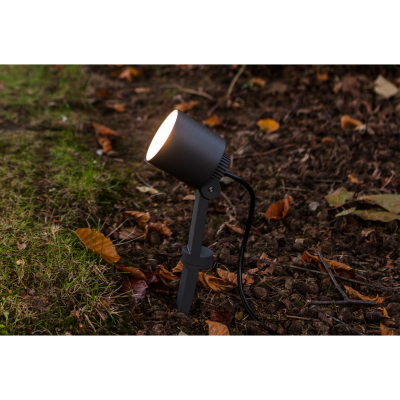 Spike Light, Explorer Spike LED 3000K IP54, c/w Clear Polycarbonate Diffuser