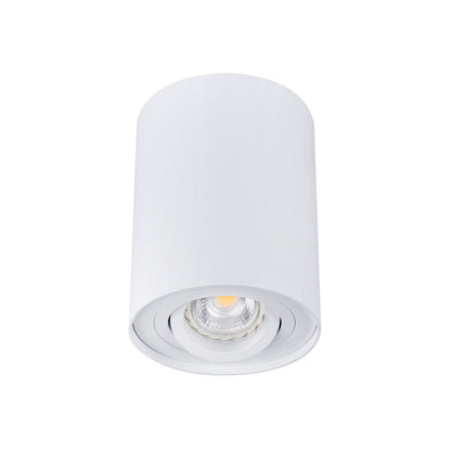 Kanlux Ceiling-mounted spotlight fitting BORD 22551