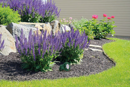 Kanlux Garden and Underwater Spot Light - AKVEN LED - Green 25720